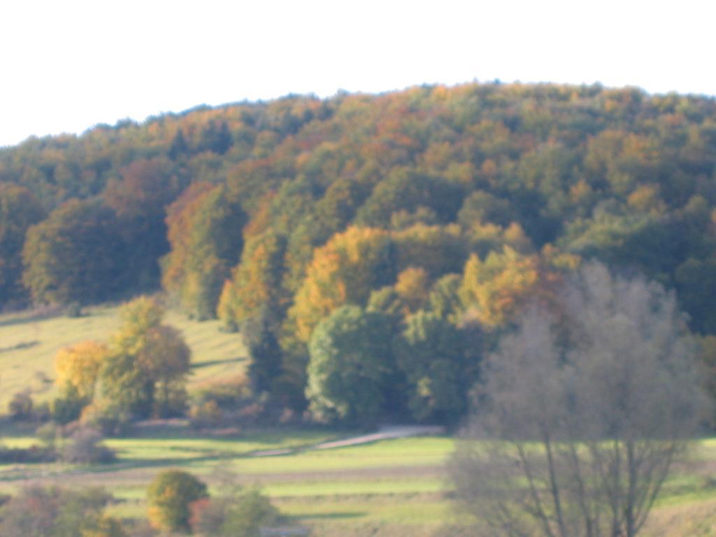 Gasthof Zum Lamm Gomadingen Kültér fotó